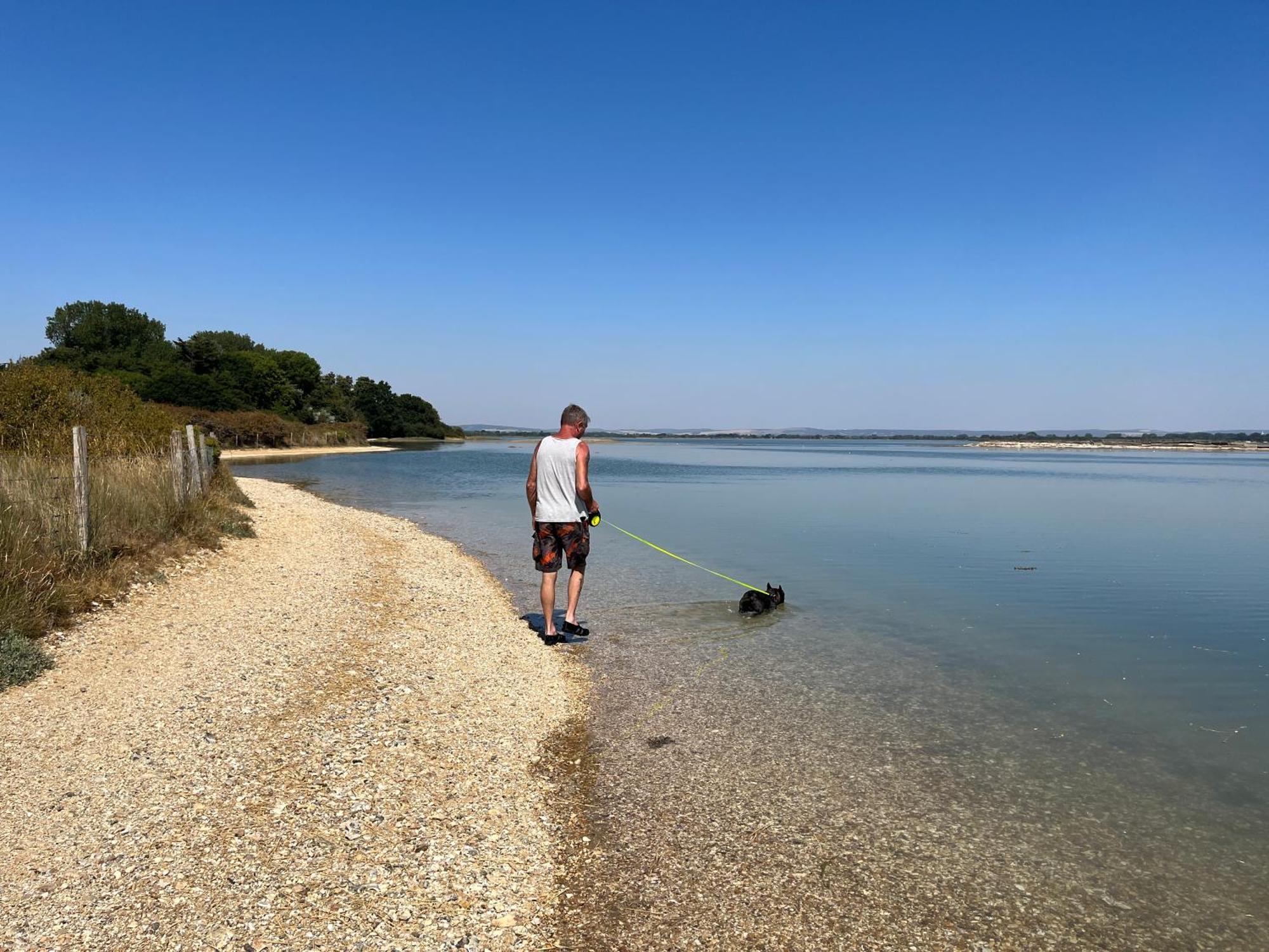 Stay At 'The Elms' In Tranquil Church Norton, Selsey - Ground Floor Bedroom, Own Private Bathroom, Quiet Beach, 2 Acre Garden By The Sea, On Edge Of Wildlife Nature Reserve Exterior photo